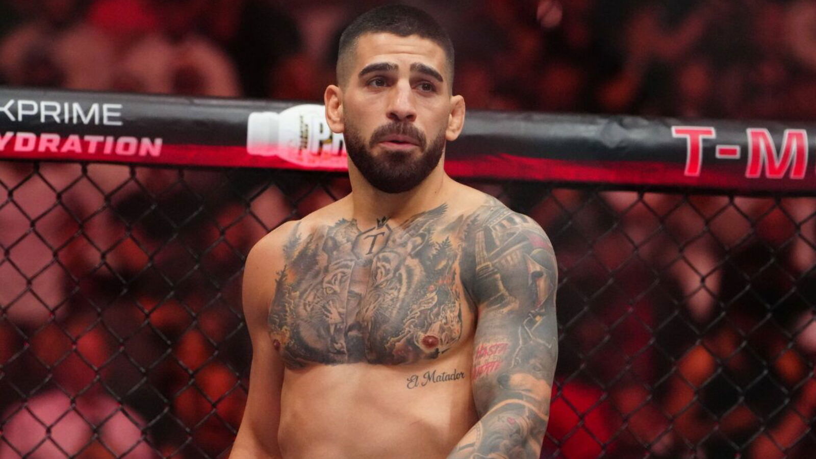 Ilia Topuria's UFC White House Stool Auction Nears $10K Bid