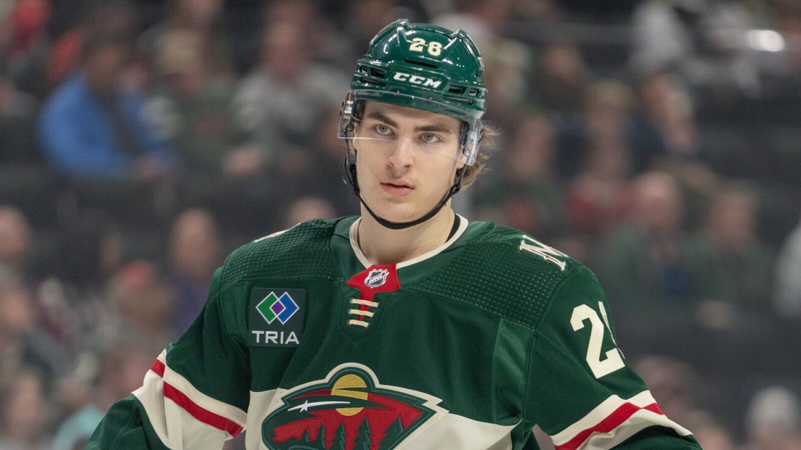 NHL News
