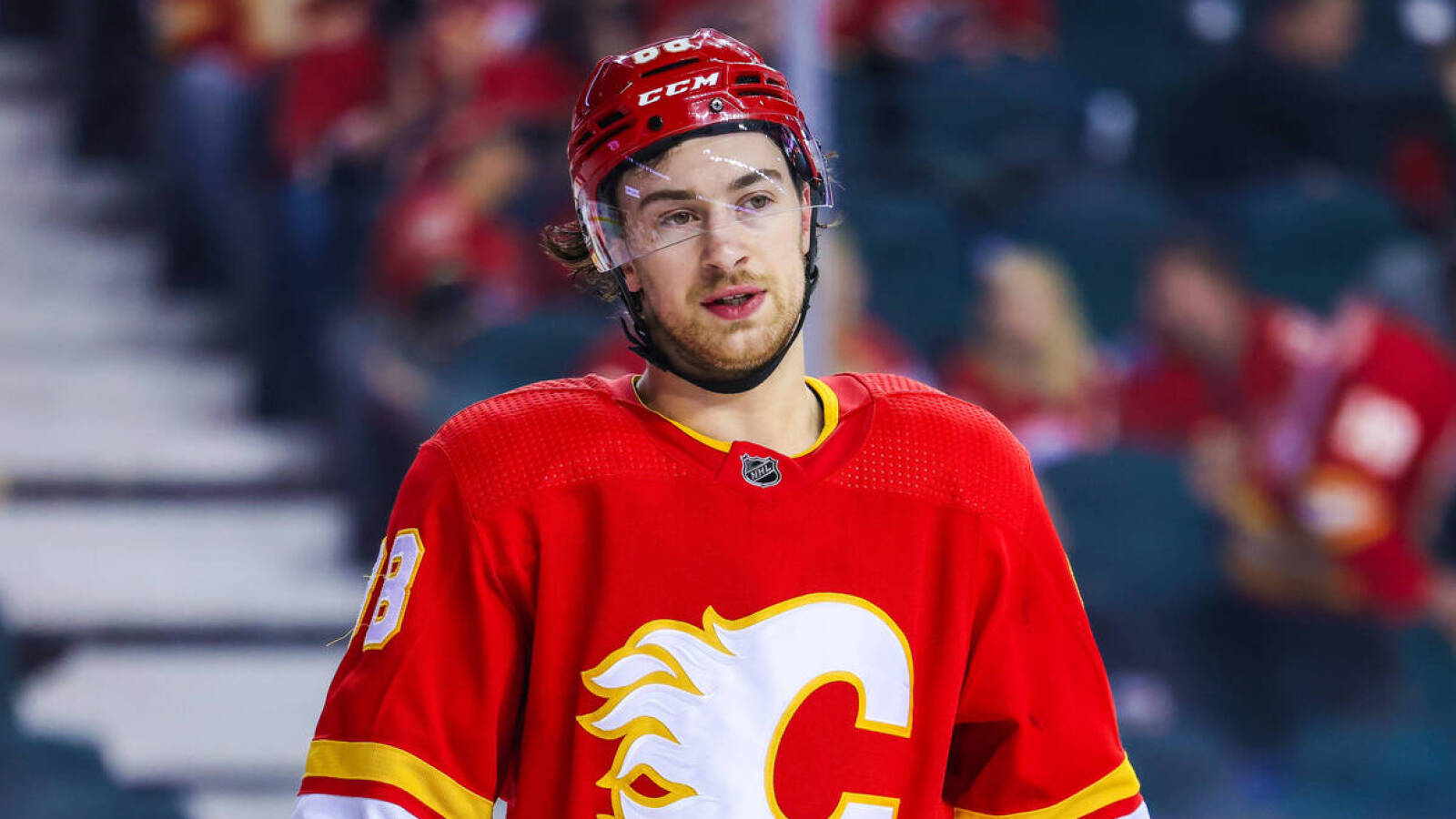 FLAMES RE-SIGN FORWARD ANDREW MANGIAPANE – Flames Communications