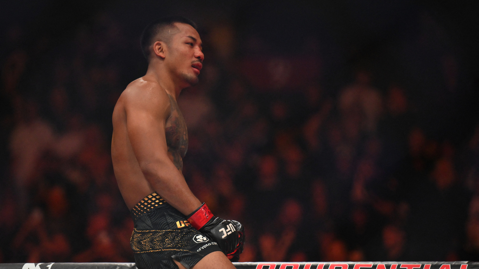 UFC 331: Van and Pantoja Predict Finishes in Flyweight Title Rematch