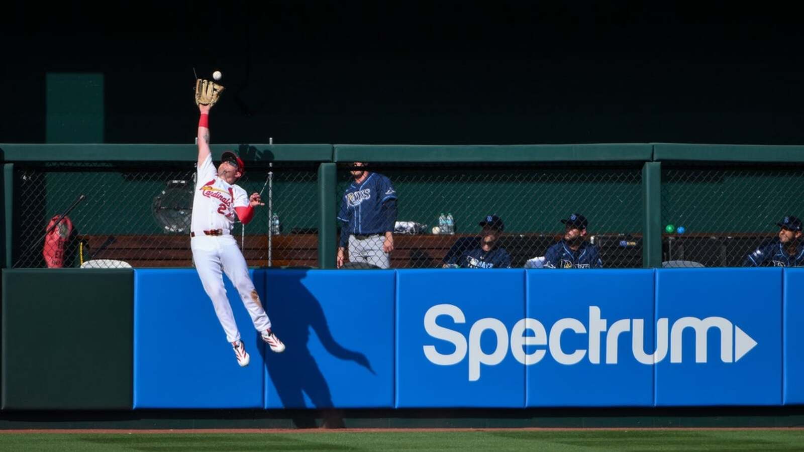 Image for Cardinals match Rays' sixth-inning uprising with their own, win 9-7