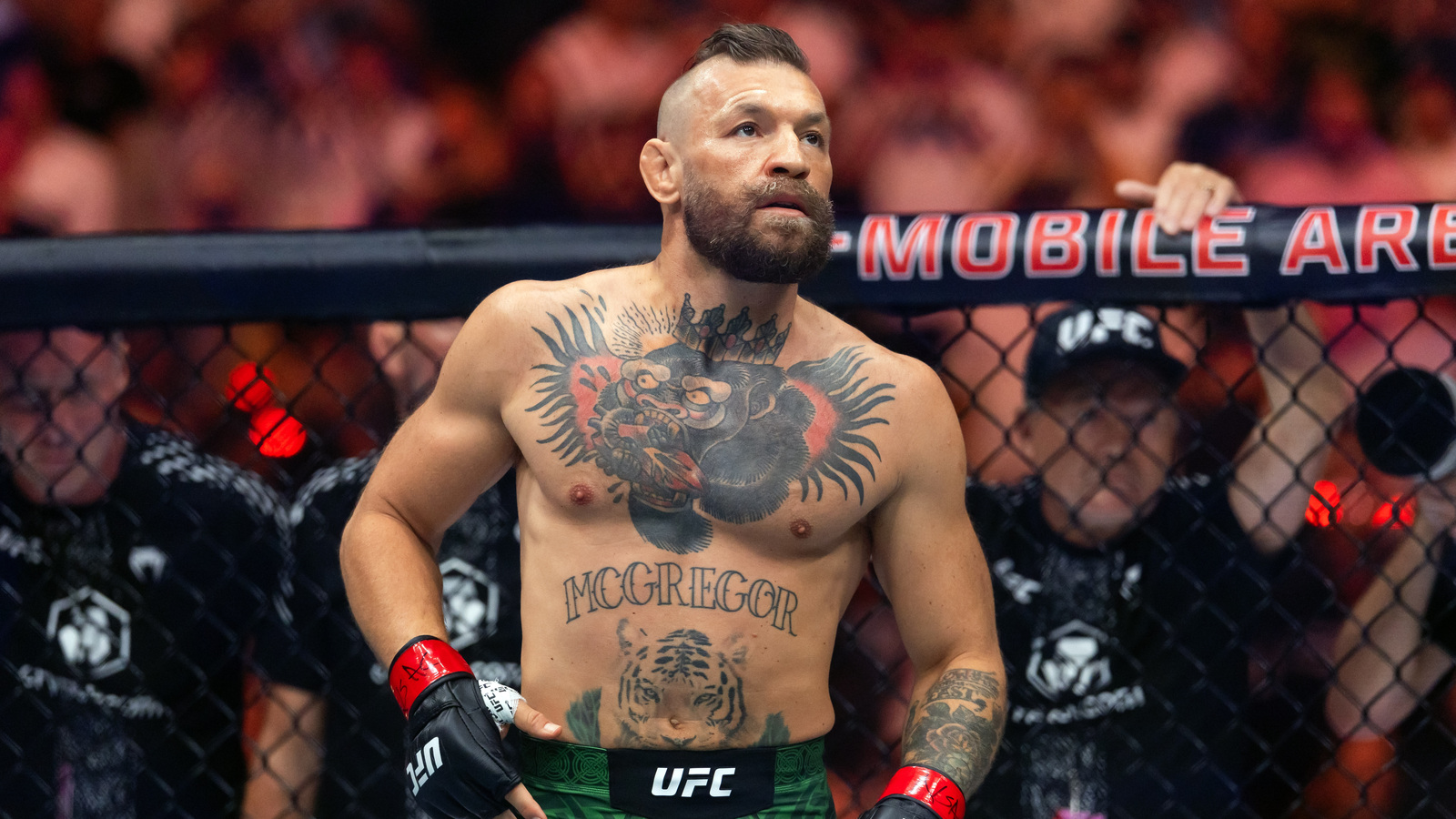 Conor McGregor Undergoes Knee Surgery Following UFC 329 Injury