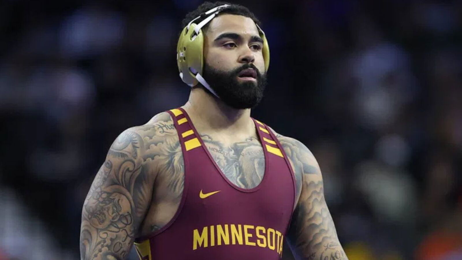 Gable Steveson Signs With UFC, Debut Timeline Revealed | Yardbarker