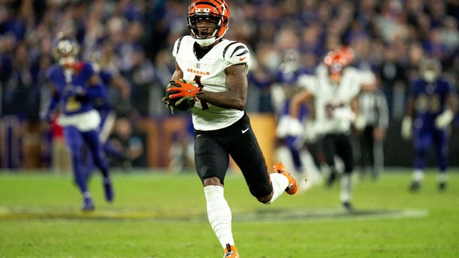 NCAAF News