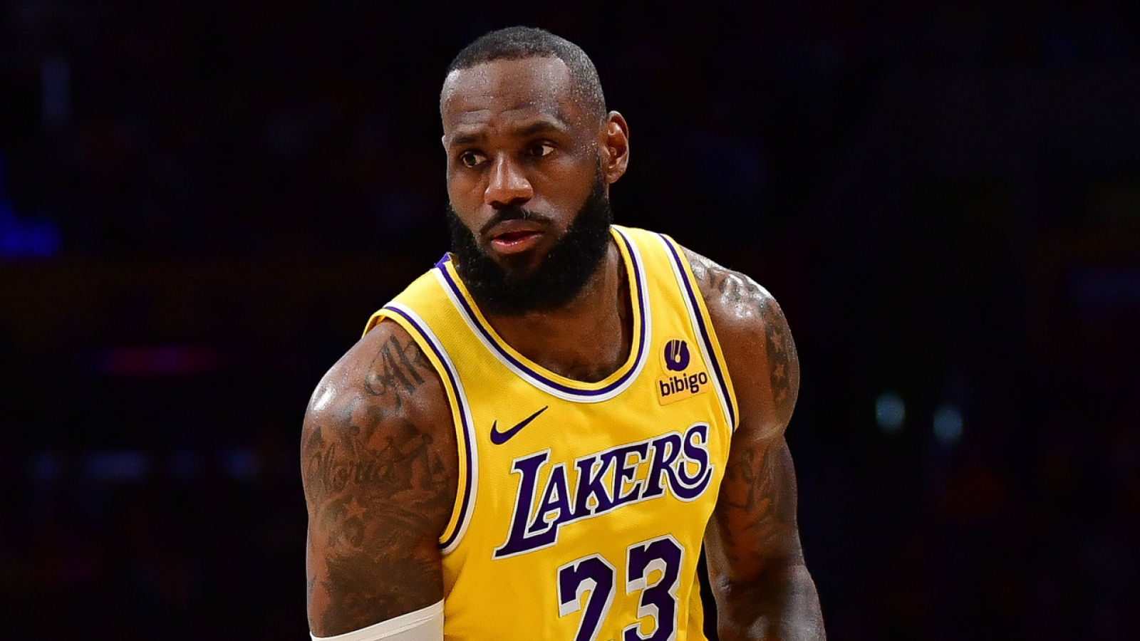 LeBron makes surprising admission about new season