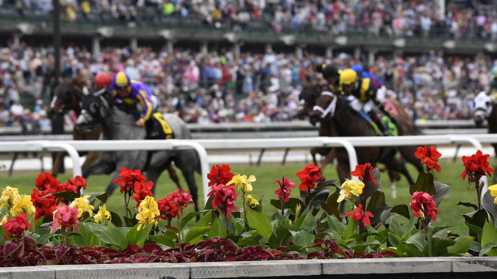 Kentucky Derby 2025 Horses Died