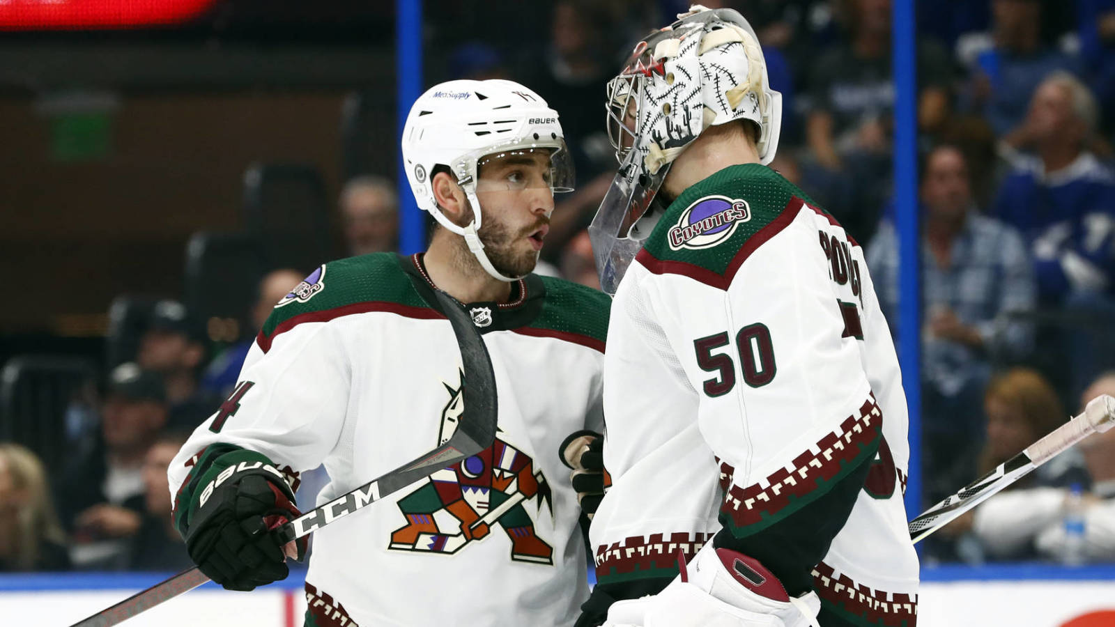 What the Coyotes are thankful for in the 2021-22 season - Vimarsana News