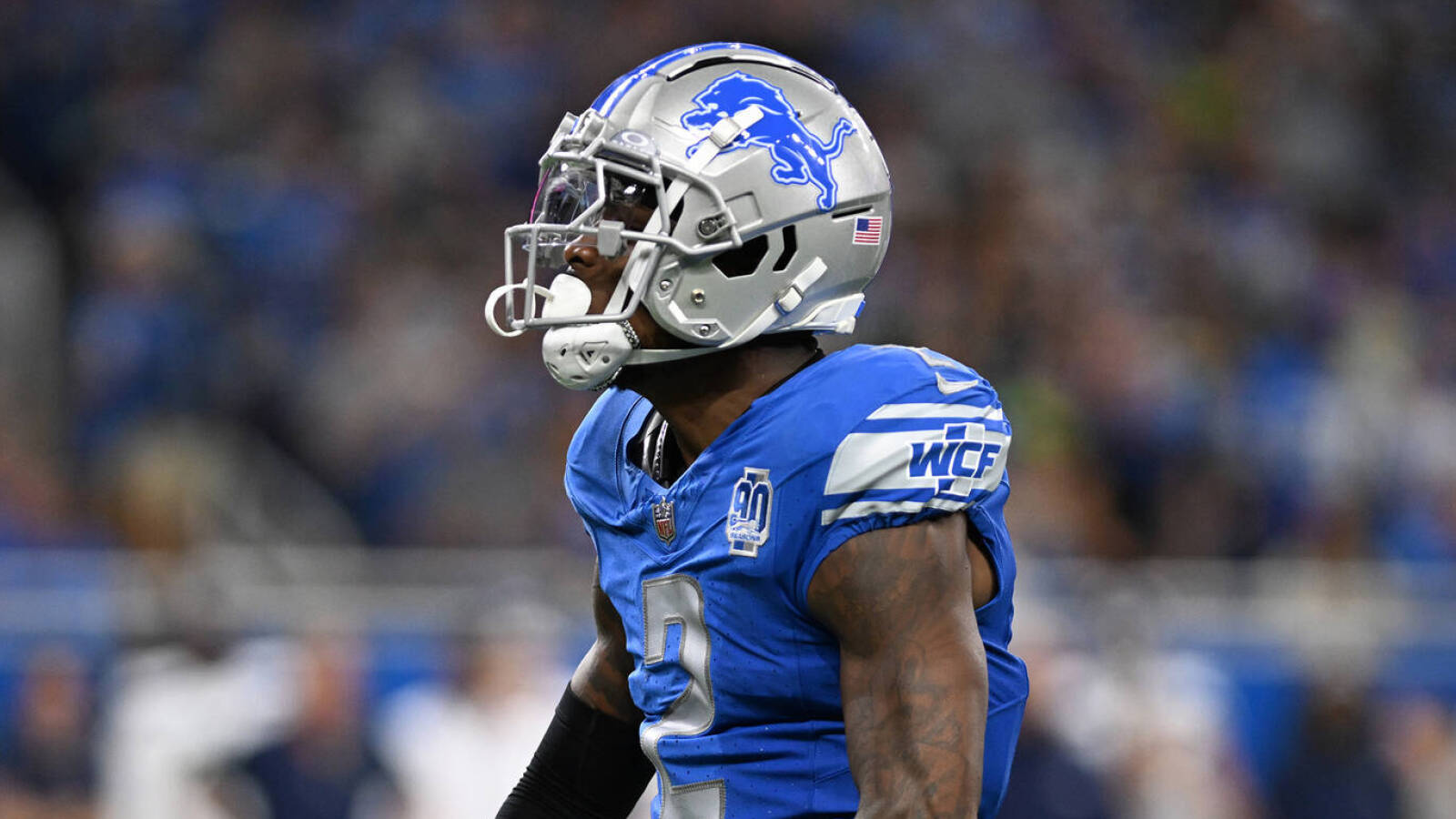 Lion Safety - Lion Safety Added A New Photo