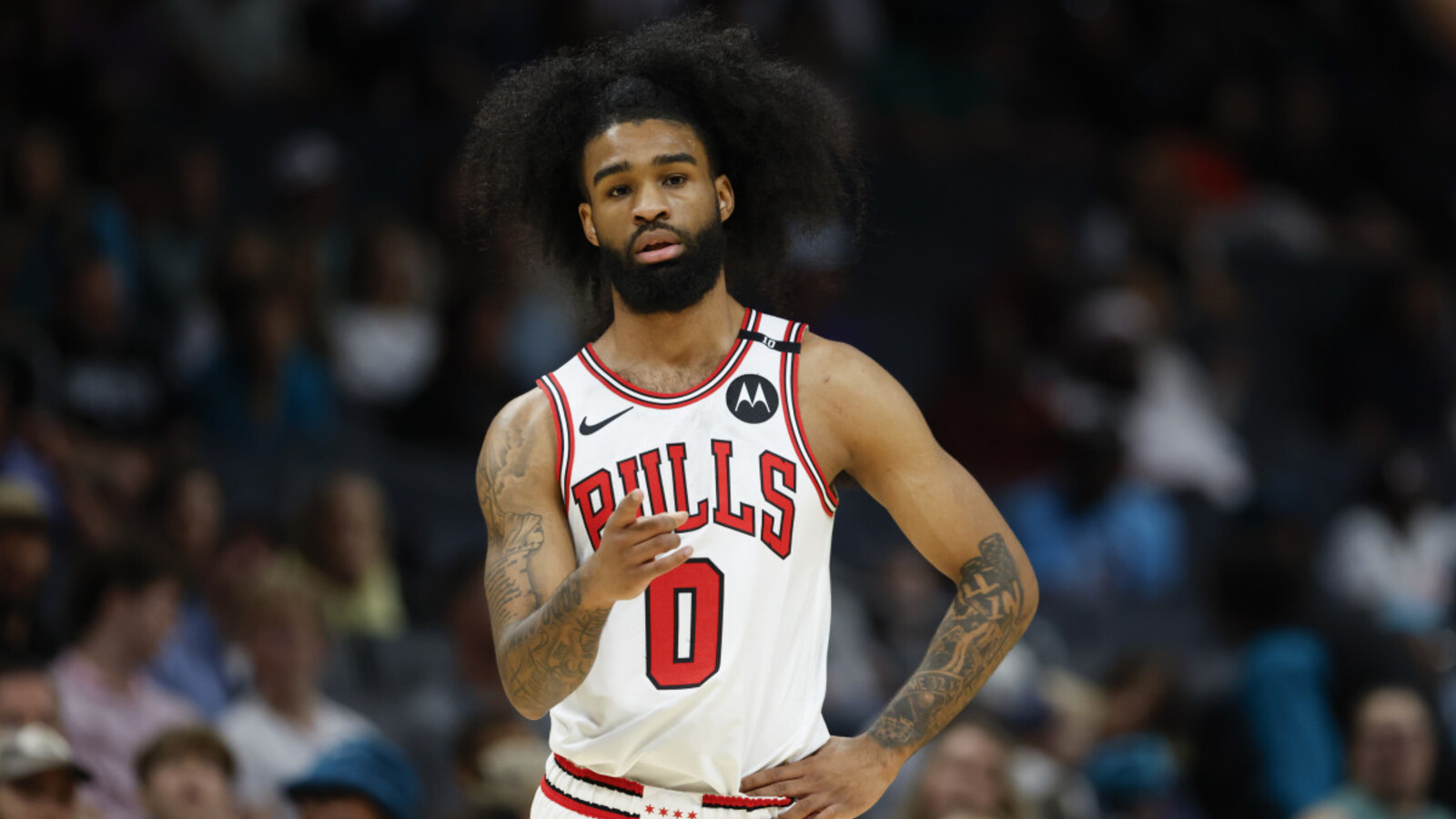 Hornets Reloaded: Why Charlotte Became a Sneaky Fantasy Gold Mine Post ...