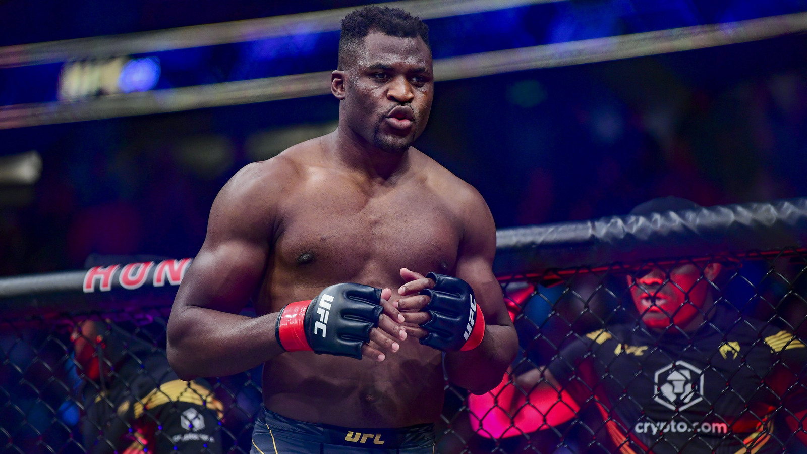 UFC Фрэнсис Нгану