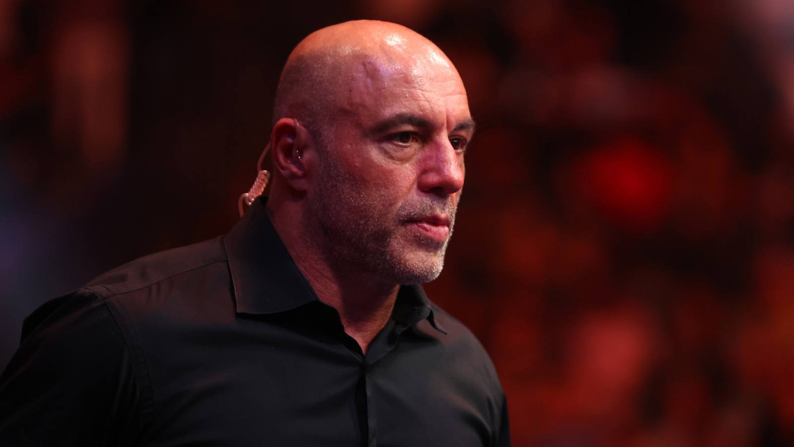 Joe Rogan wants to get rid of the cage and stand-ups in MMA | Yardbarker