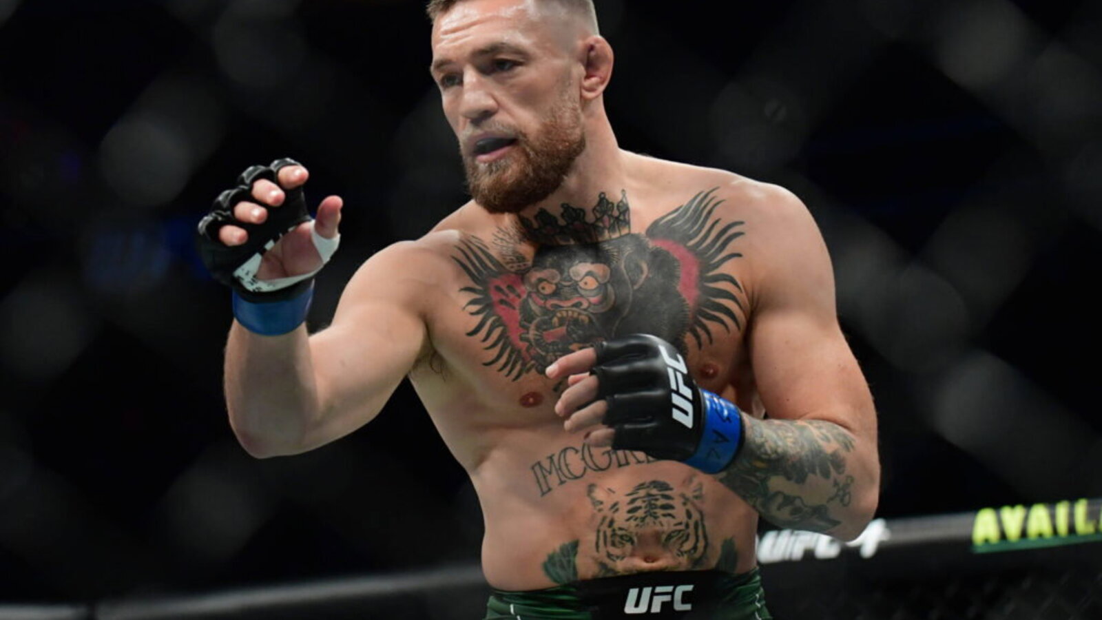 Conor McGregor Spotted Training His Children at Gym After Confirming Max Holloway Rematch at UFC 329