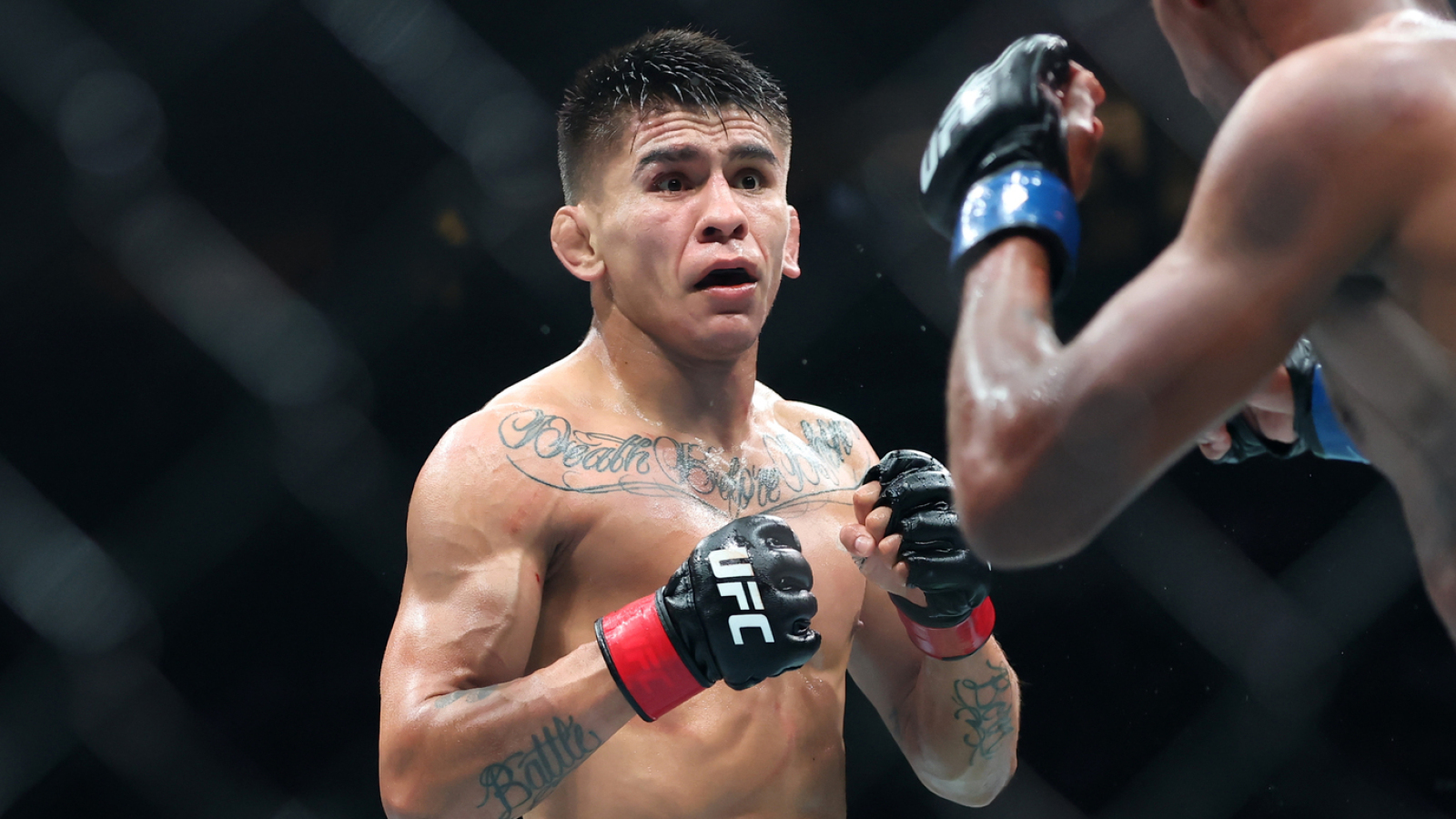 UFC Vegas 113 Walkout Songs: List of Entrance Music Mario Bautista, Vinicius Oliveira, Amir Albazi, and Others Used in Past