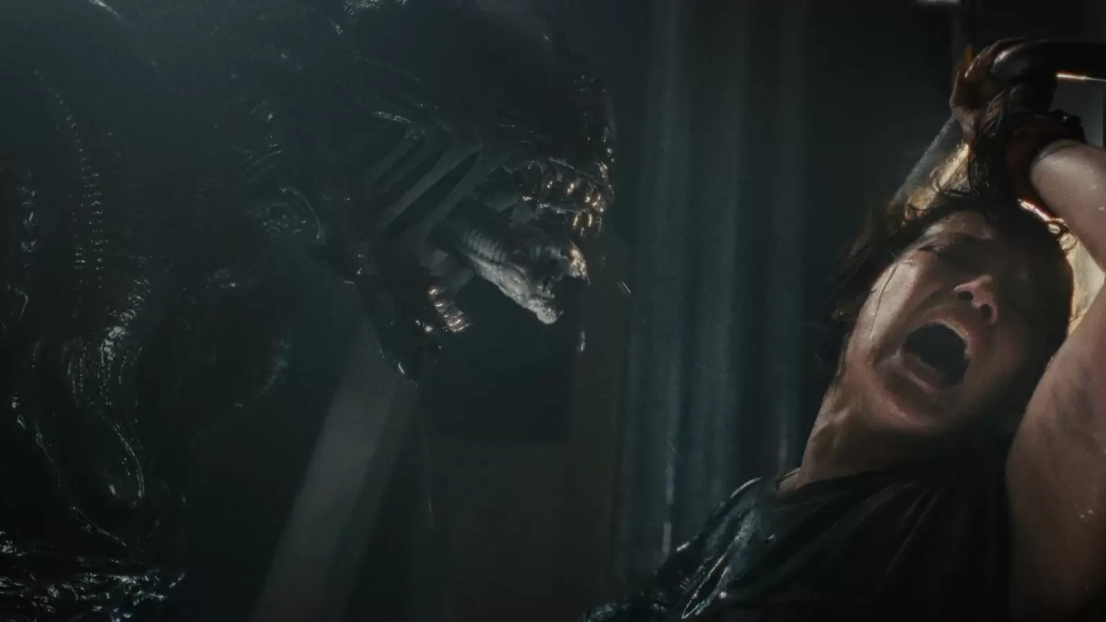 ‘Alien: Romulus’ Review: Another Adrenaline-Fueled Injection Into the ...