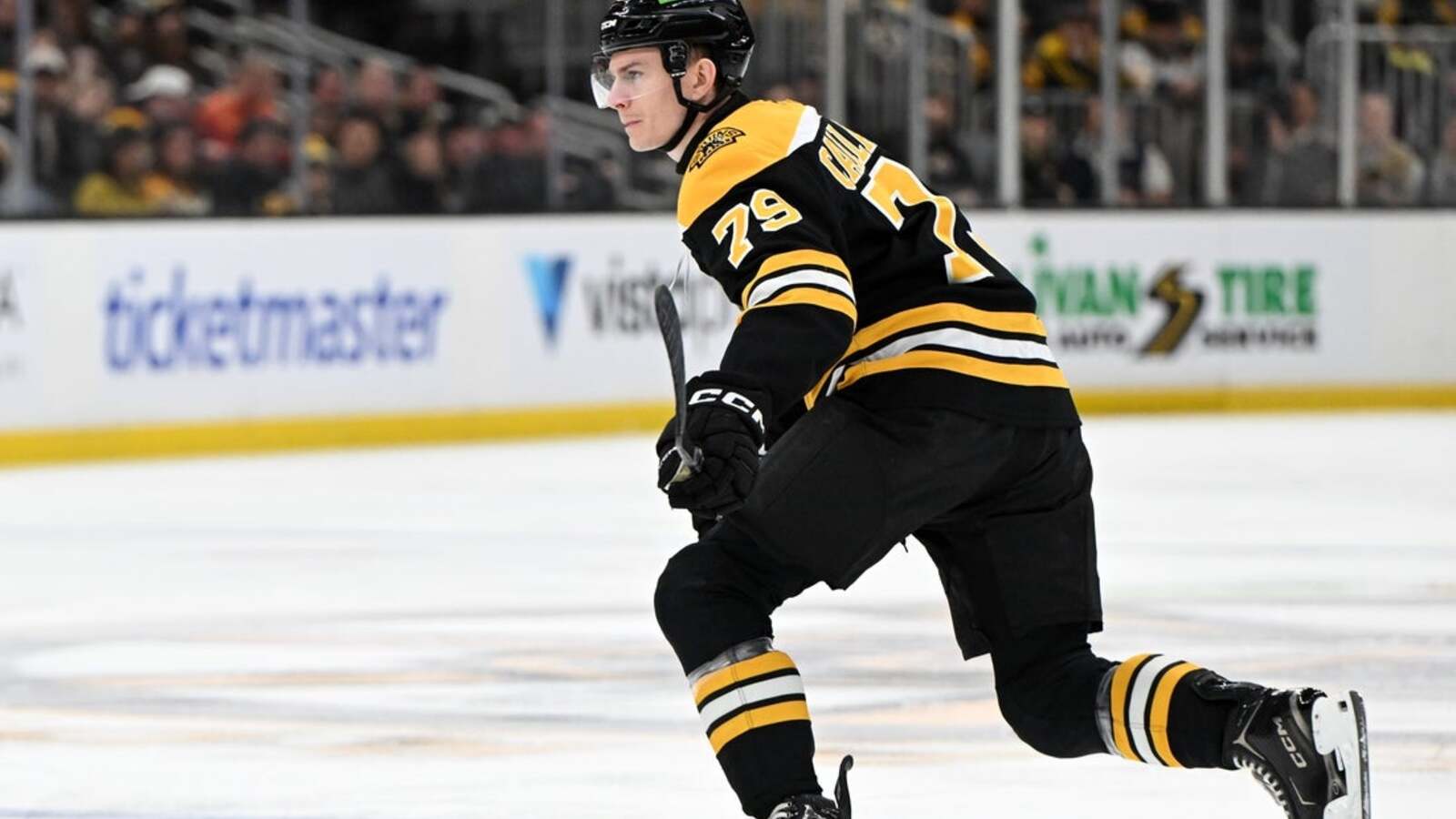 NHL News
