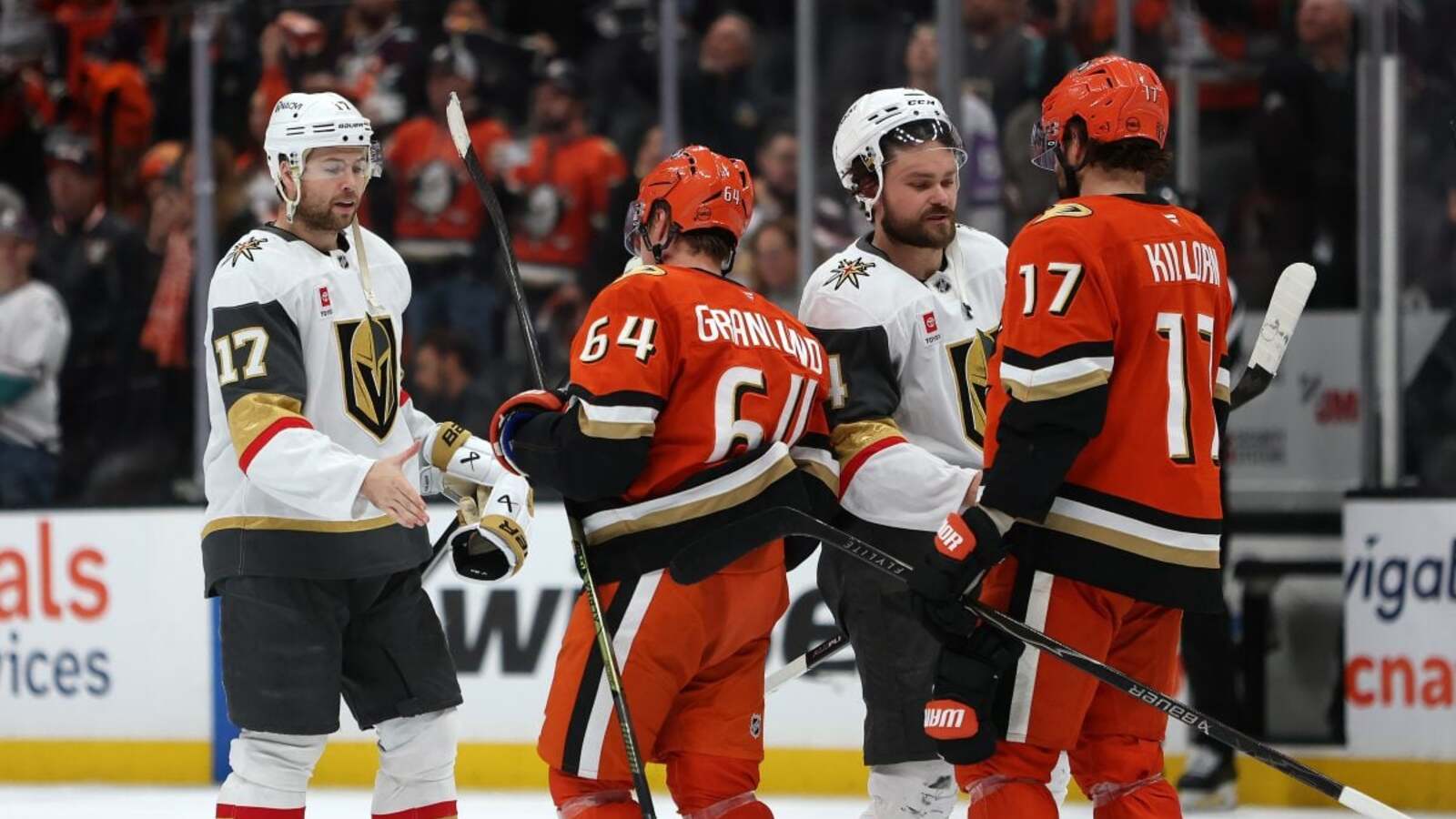 Ducks News and Notes: Season Preview