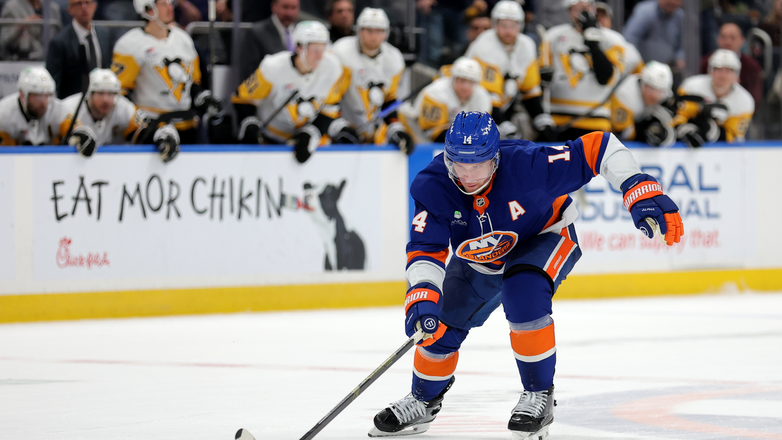 Top 5: Bo Horvat crashes into a bird during the game | Yardbarker