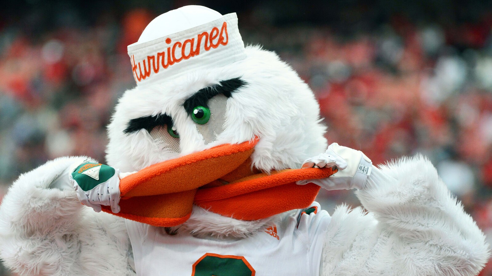 College football teams that might surprise in 2022 | Yardbarker