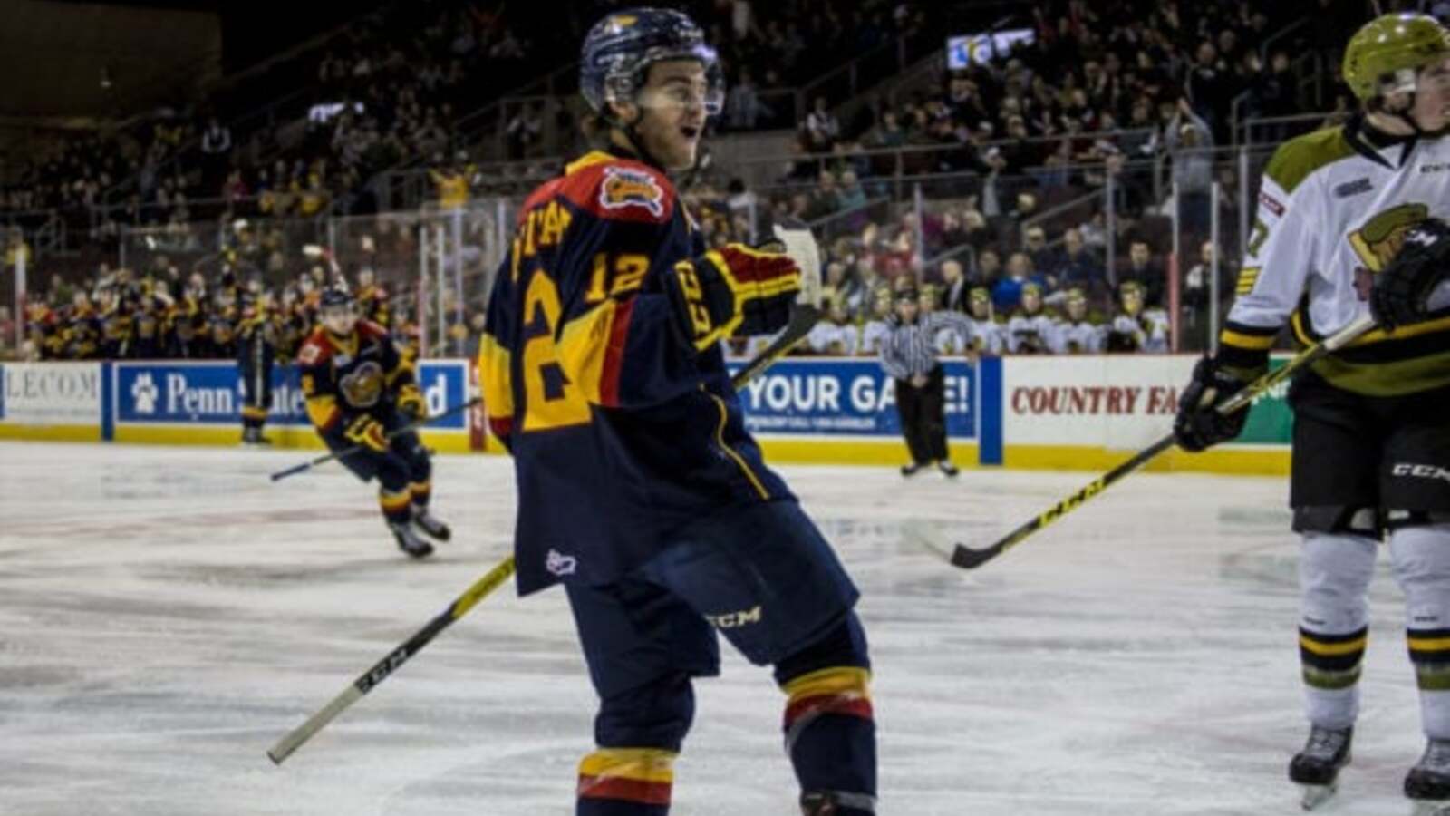 Hamilton Hammers News & Notes – Opening Date Set, Coaching Staff Named ...