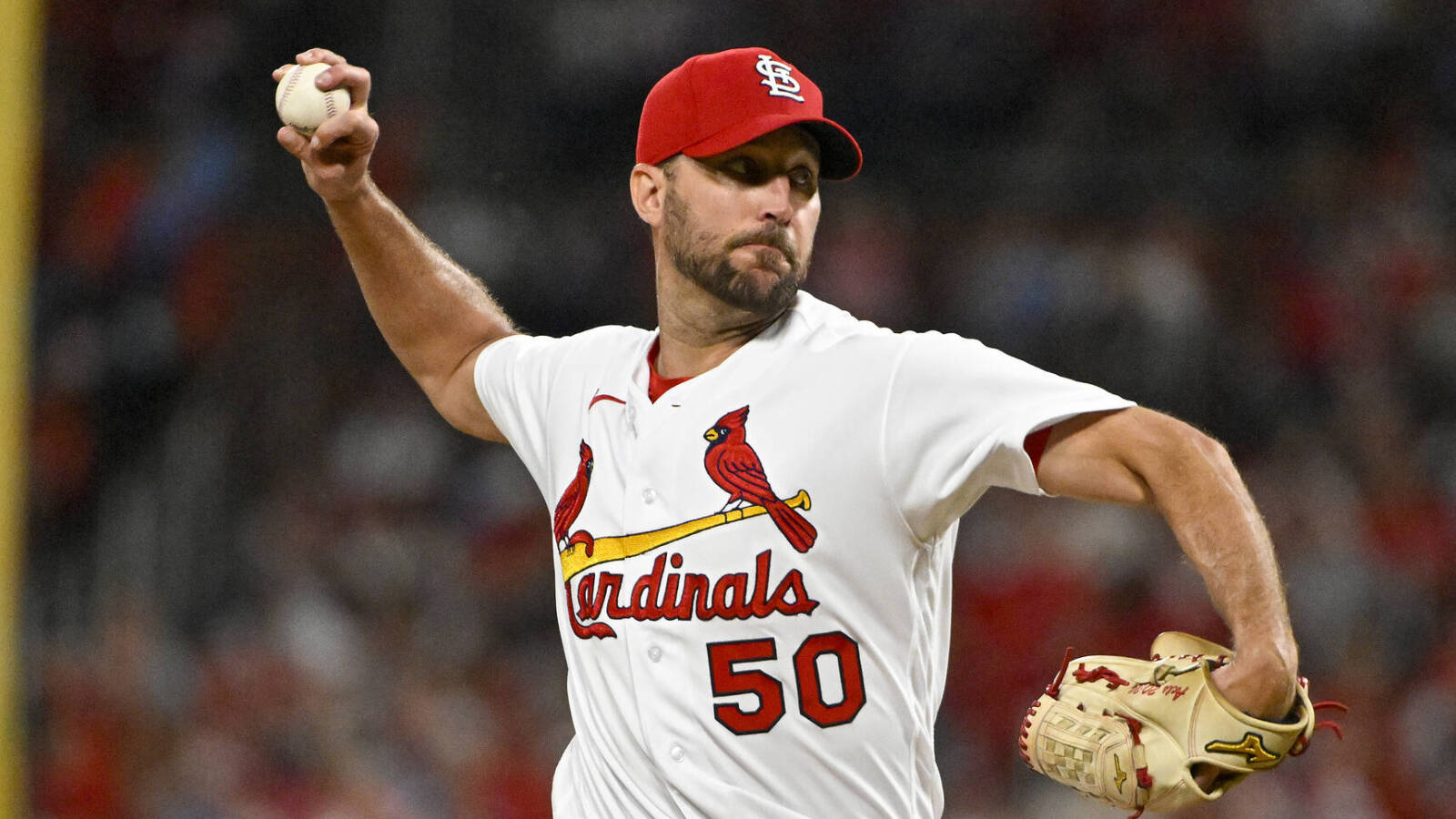 Cardinals' Adam Wainwright to open season on injured list - Vimarsana News