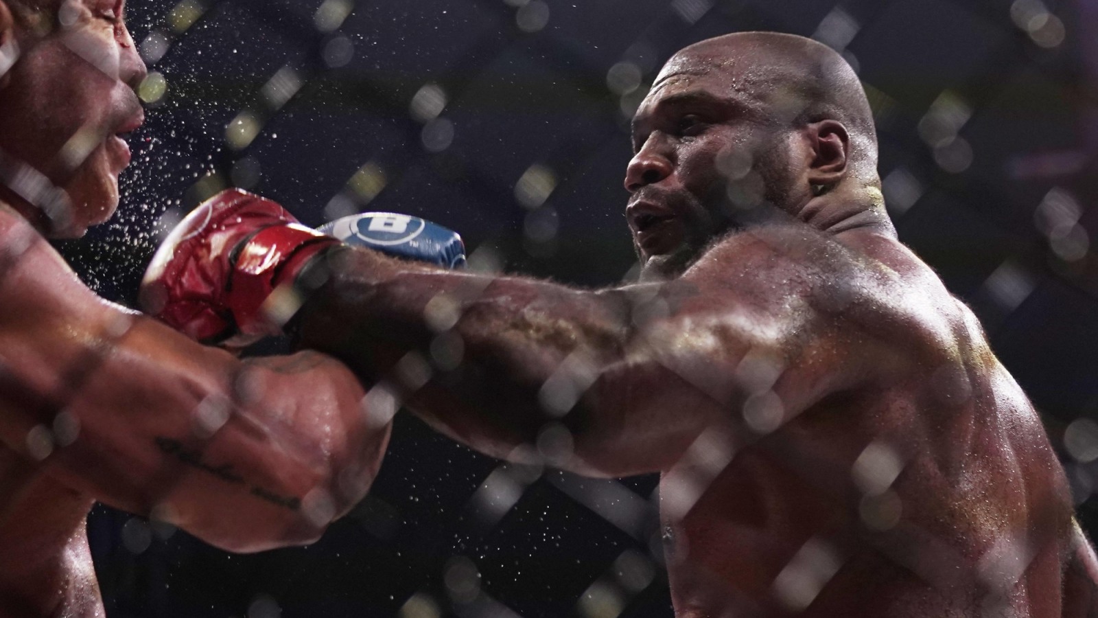 Rampage Jackson vs Rashad Evans Set For April 12 But In A Boxing Ring ...