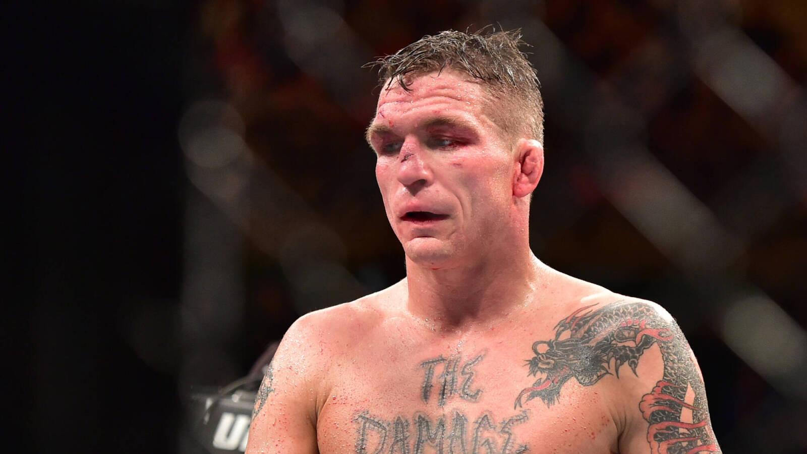 Darren Elkins Shines in UFC Fight Night 230 Featured Preliminary Bout ...