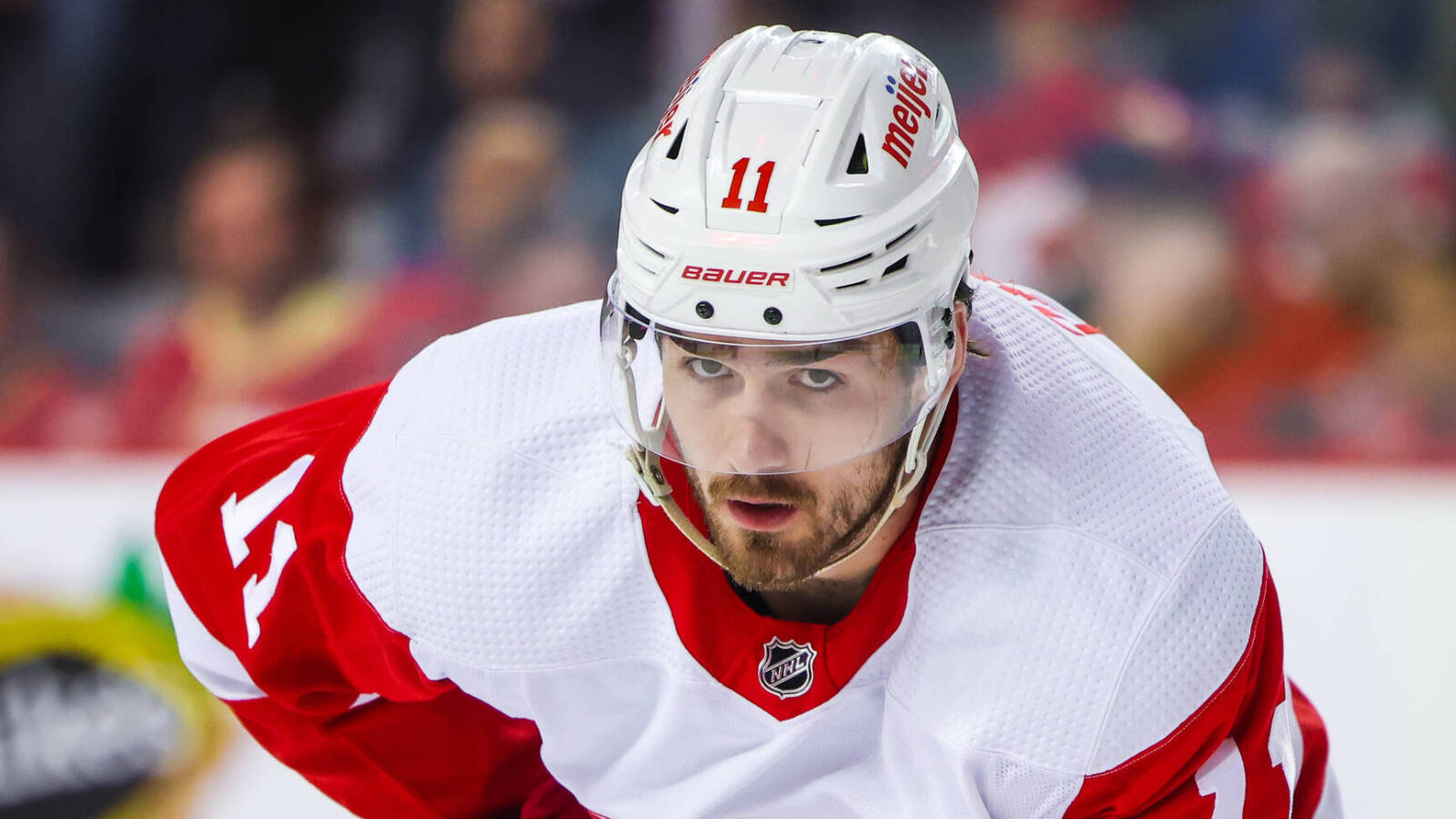 Detroit Red Wings игроки