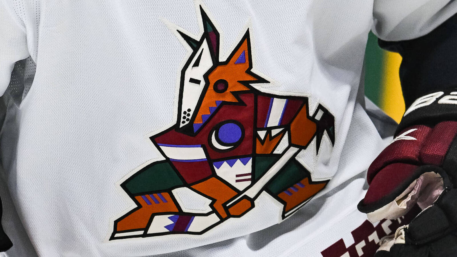 NHL suspends Coyotes minority owner Andrew Barroway indefinitely following disturbing arrest