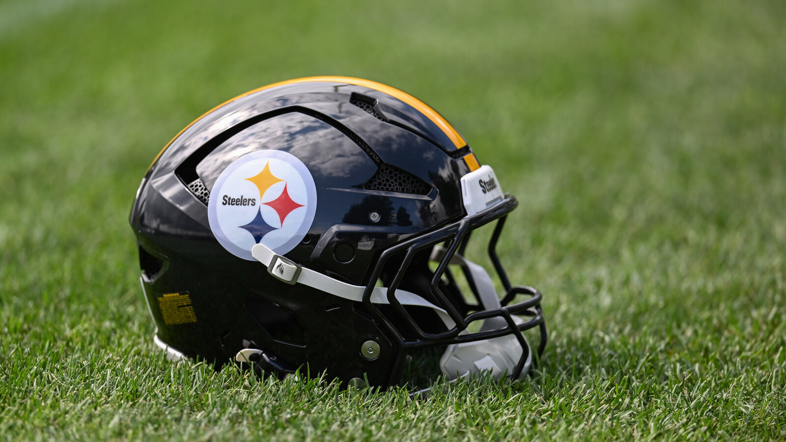 Former Steelers Coach Receives Shocking Praise Despite Constant Struggles