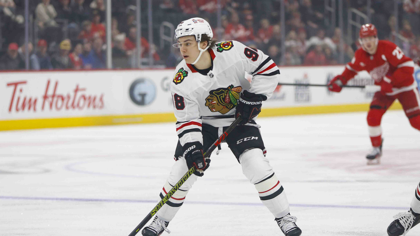 NHL News