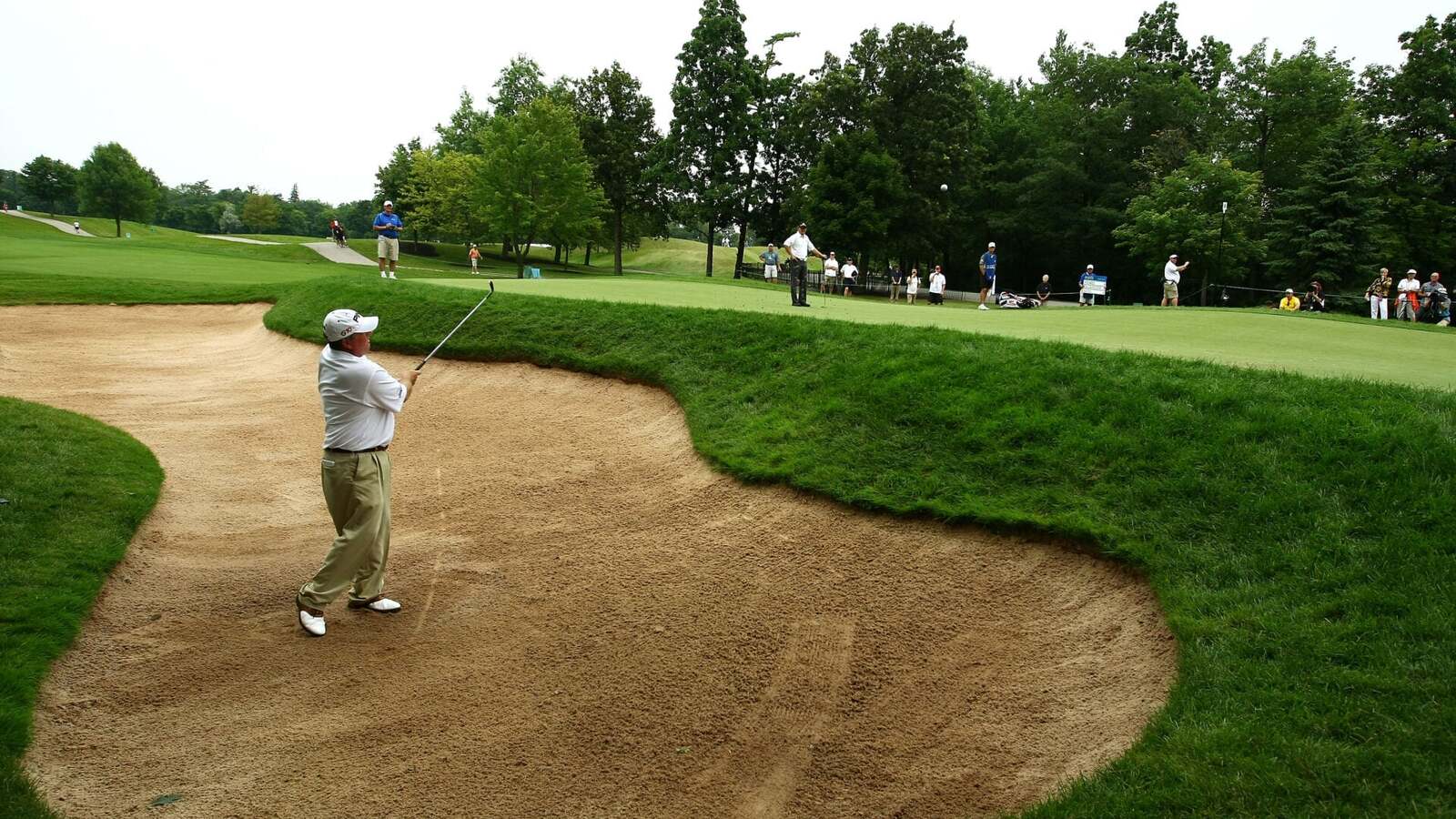 Mark Calcavecchia's Impressive Golf Records