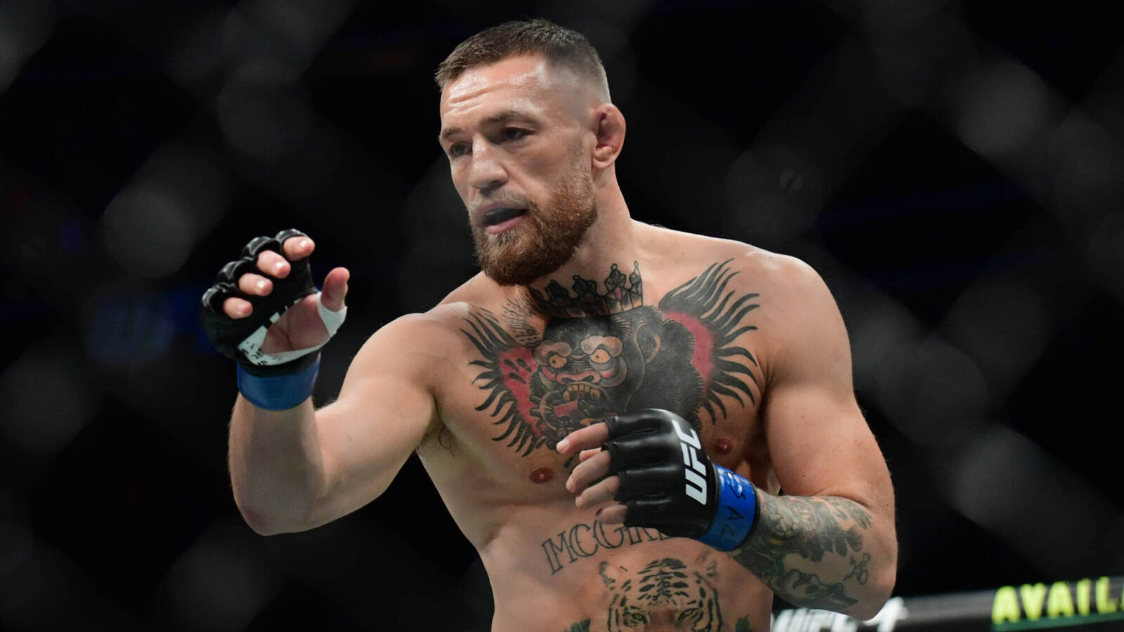 Connor MCGREGOR бокс
