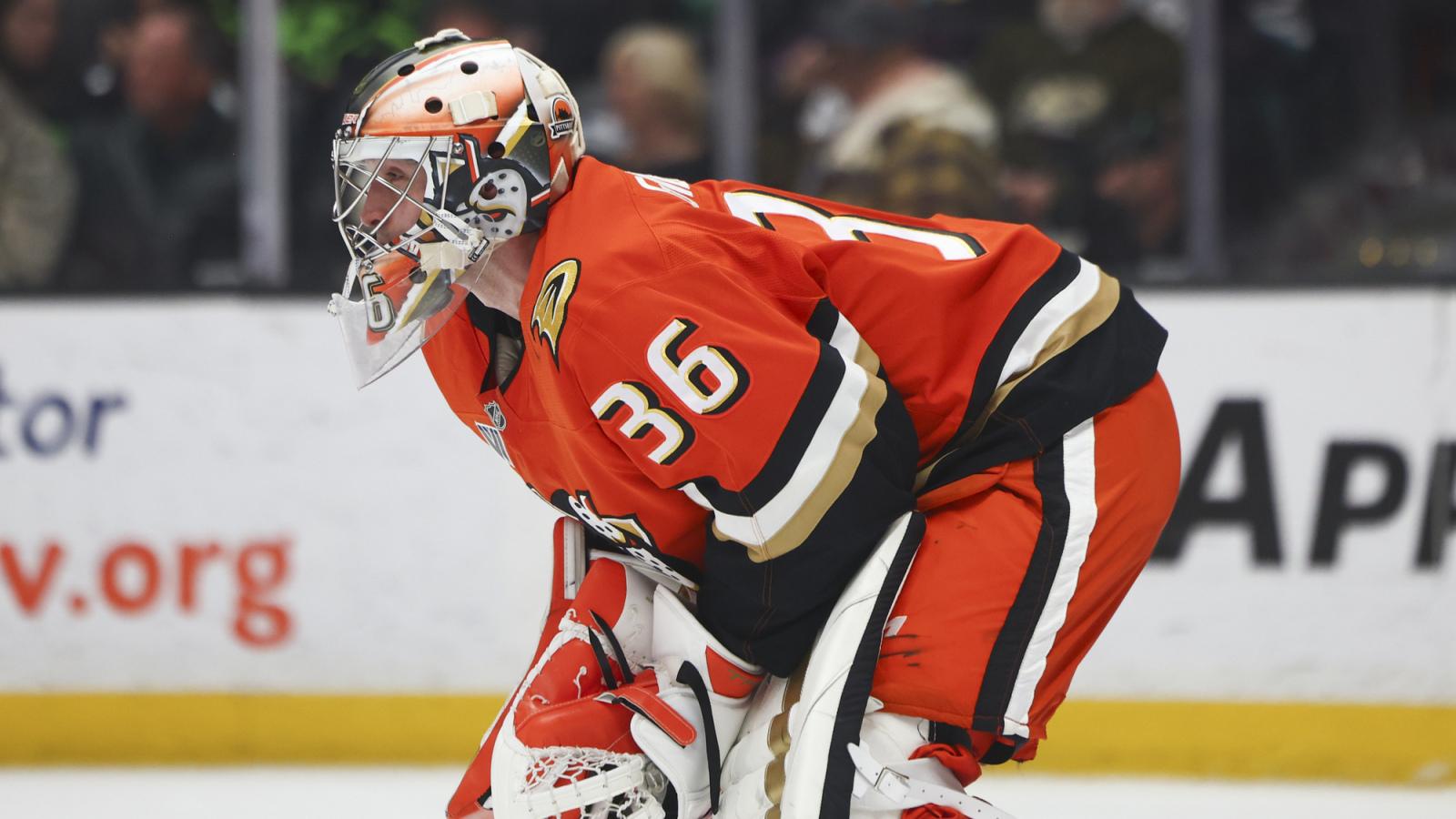 NHL News