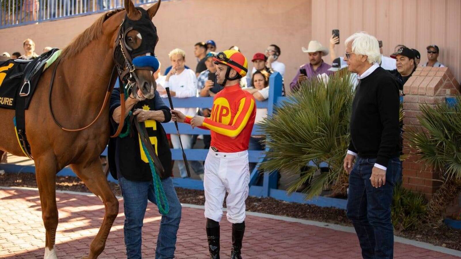 Preakness best bets: Ranking the 8-horse Preakness field - Vimarsana News