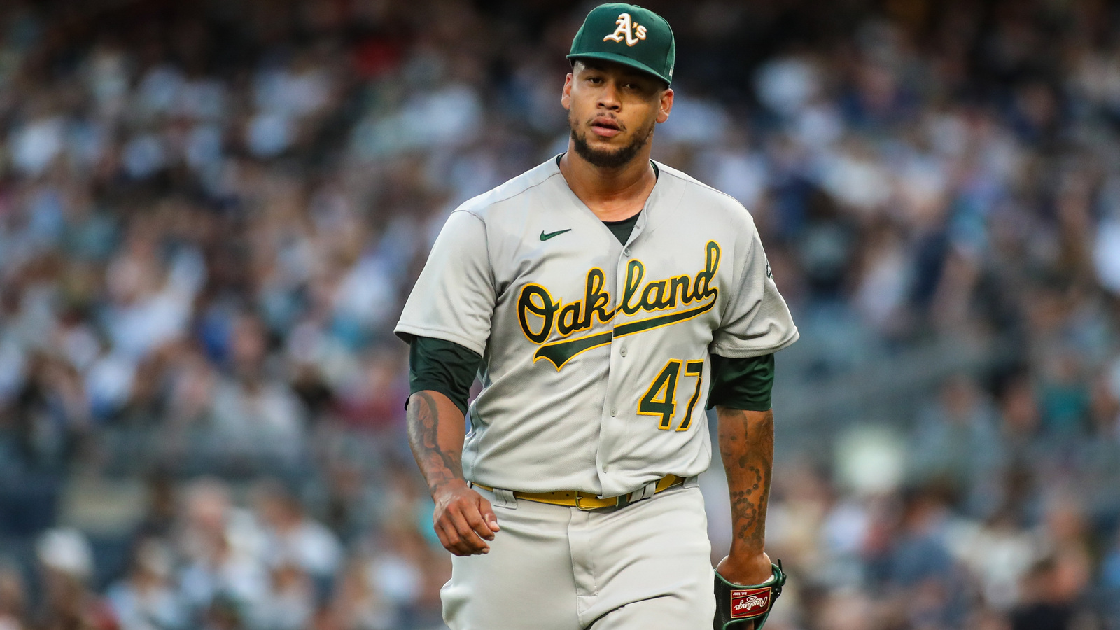 American League trade deadline recap - Vimarsana News