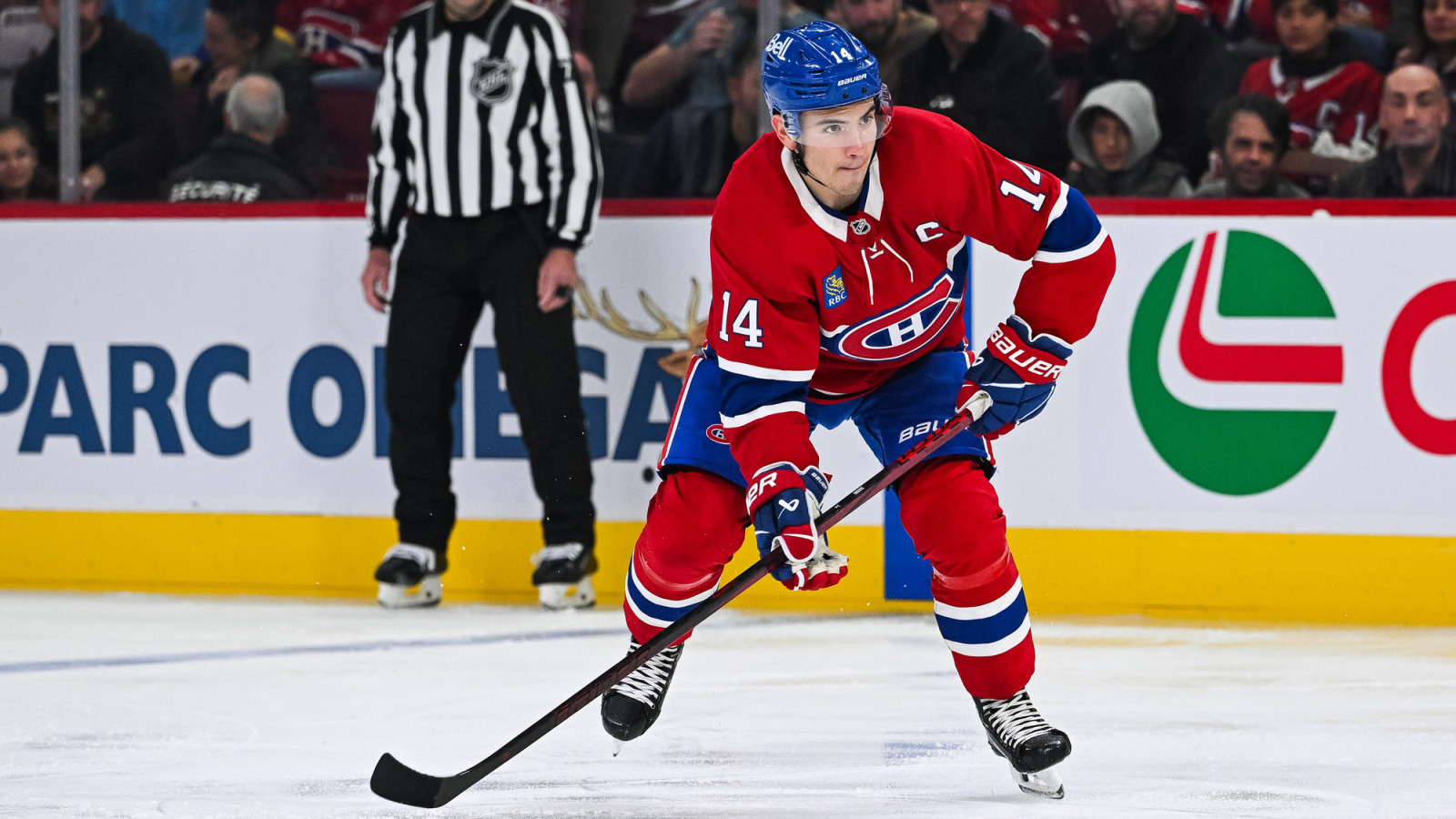 NHL News