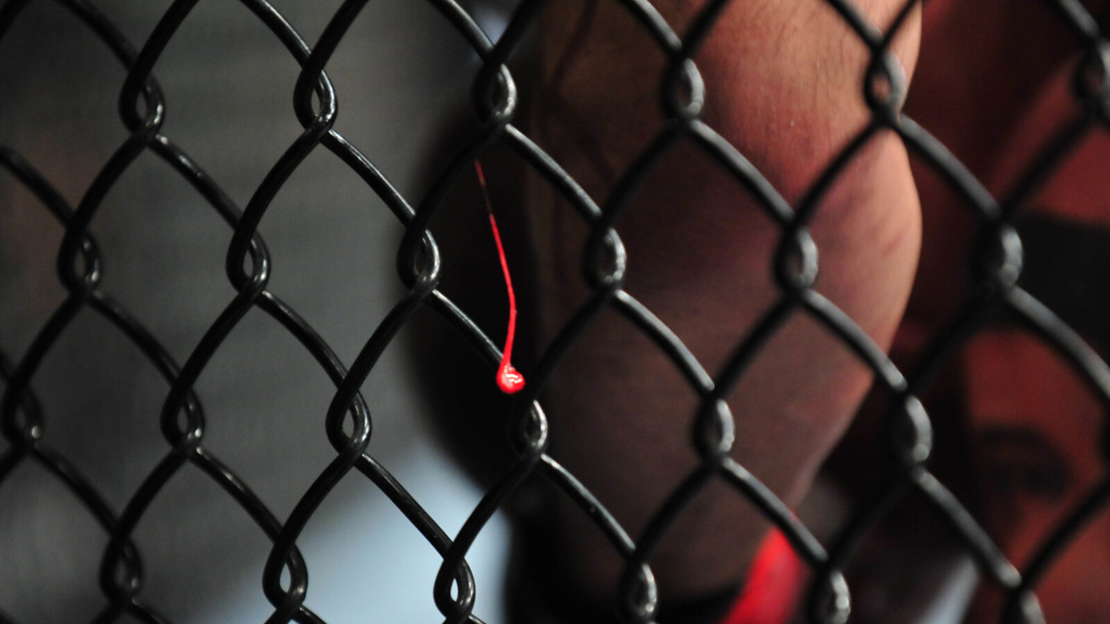 Brother of Former UFC Champion Fighting to Save His Career | Yardbarker