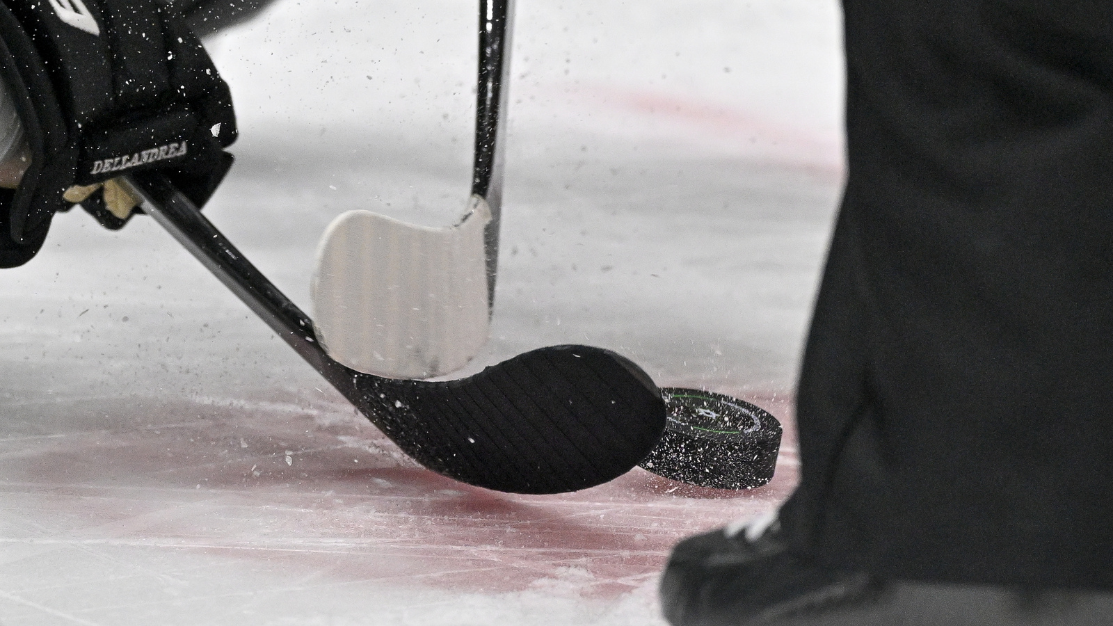 NHL News