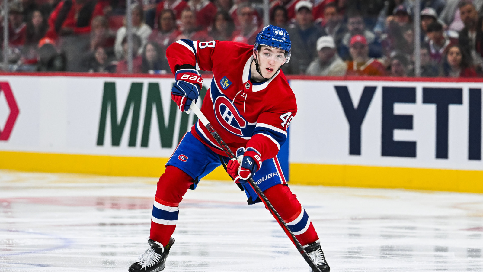 NHL News