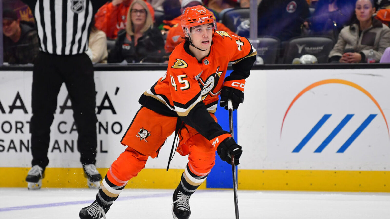 Ducks Extend Win Streak to 7 With Victory Over Jets | Yardbarker