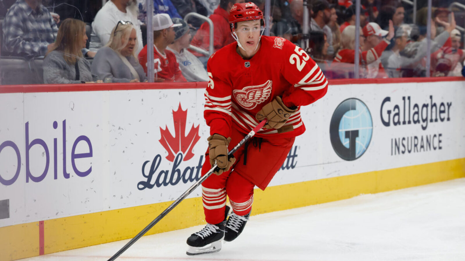 Red Wings’ 3rd Pairing Is Better With Jacob Bernard-Docker | Yardbarker