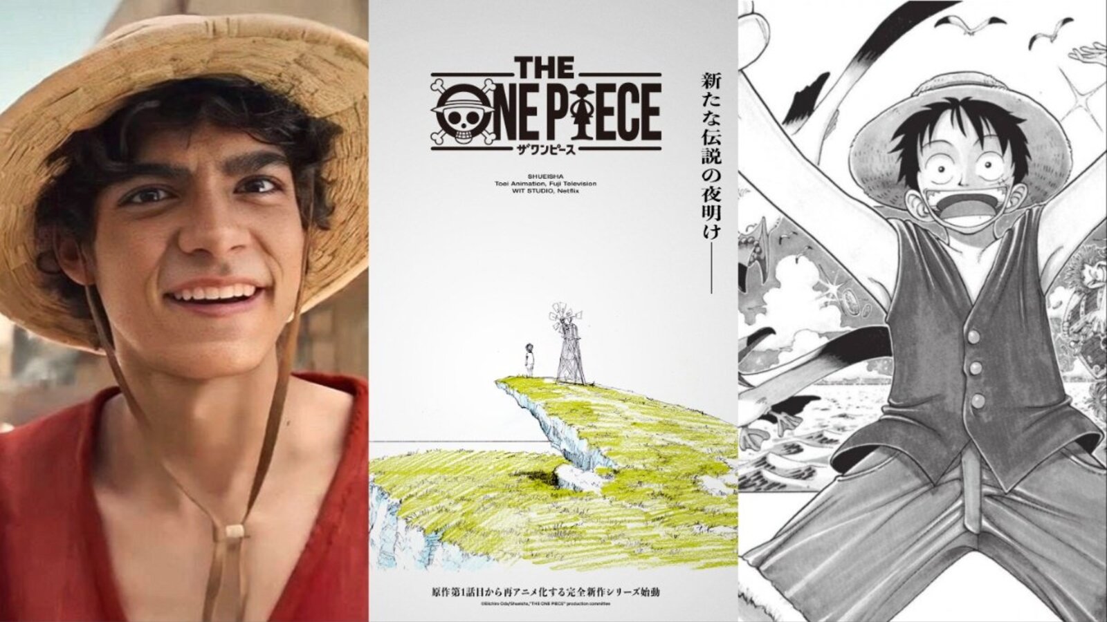 One Piece Anime Remake by WIT Studio Announced