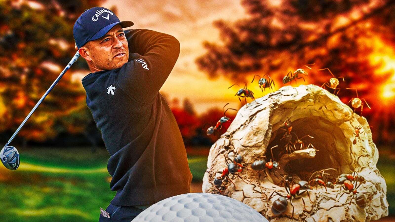 Xander Schauffele fights off ant attack to lead Olympics Golf