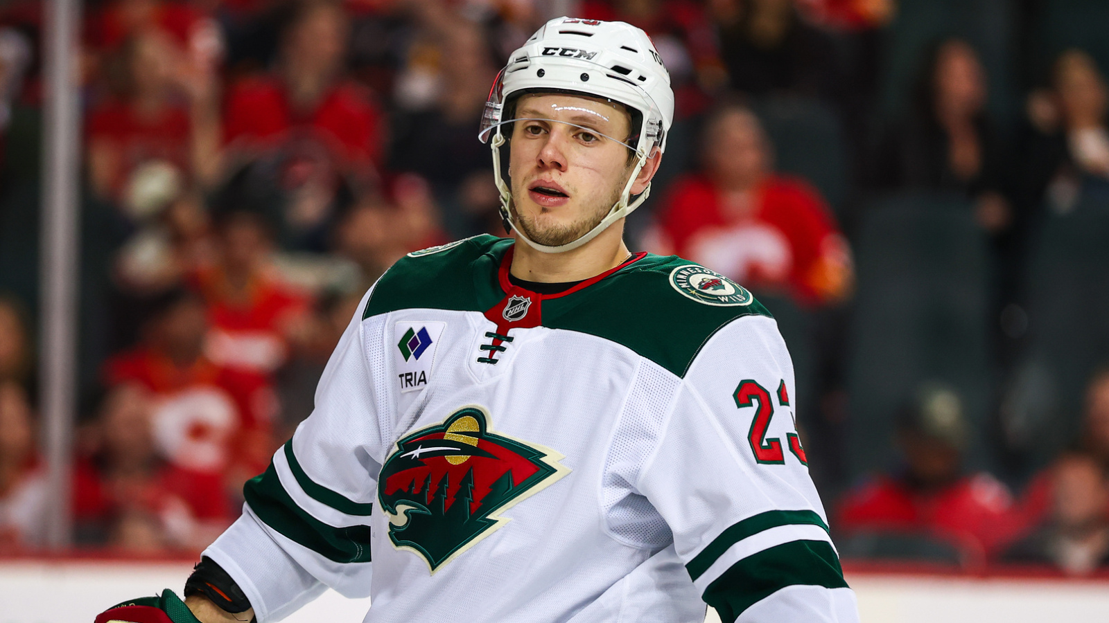 NHL News
