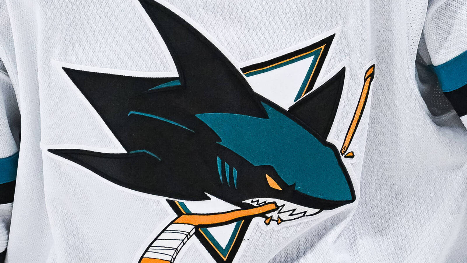 Sharks closing in on next head coach - Vimarsana News