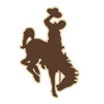 Wyoming Cowboys